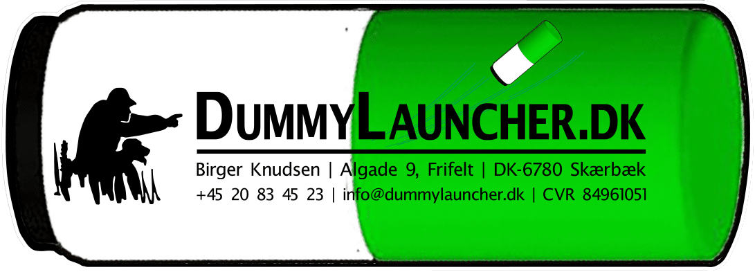 Dummy Launcher